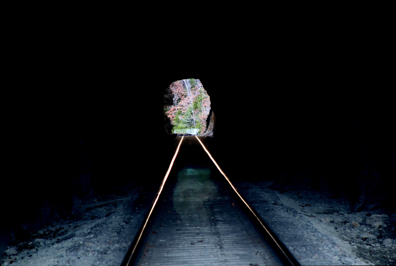 Thought Bloom